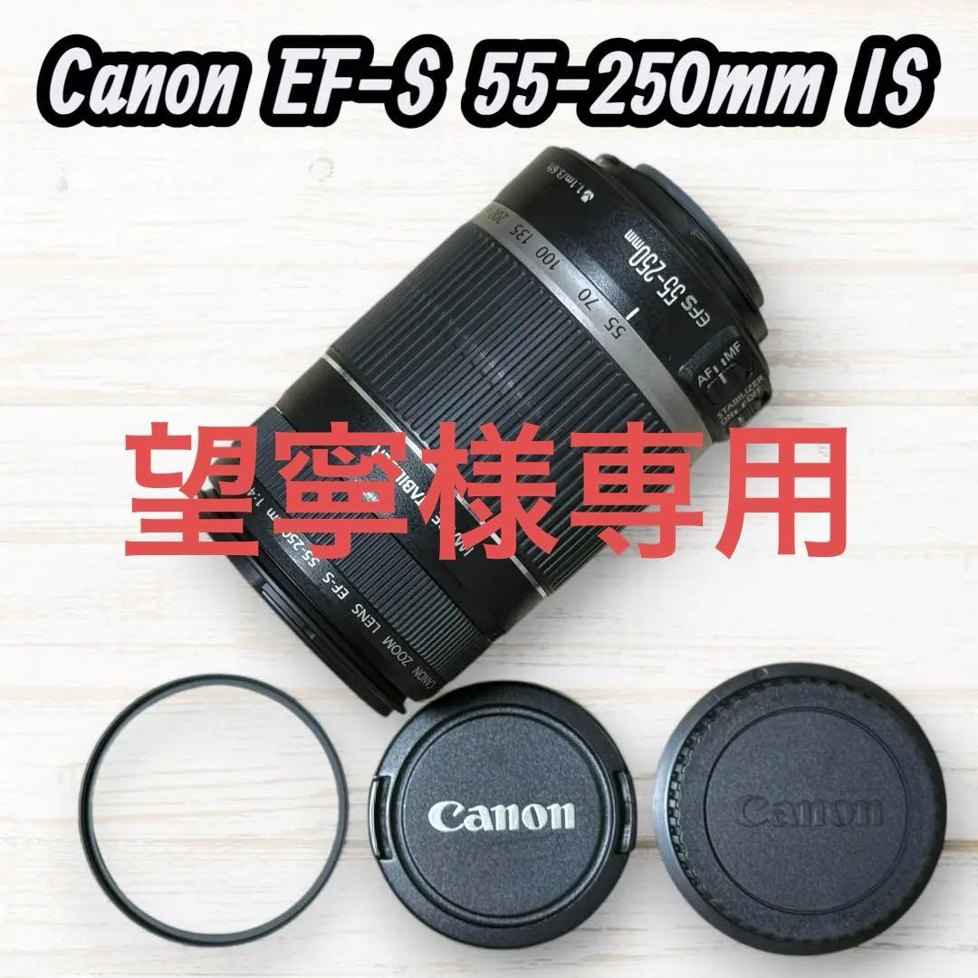 Canon ズームレンズ EF-S 55-250mm IS #131