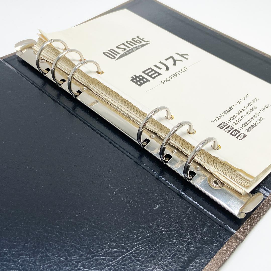 パーソナルカラオケ オン・ステージ PK-FB01GT　カラオケチップ付