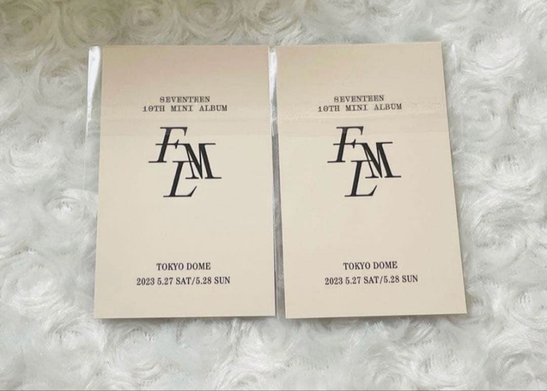 【公式】SEVENTEEN エスクプス クマ 東京ドーム トレカ まとめ売り