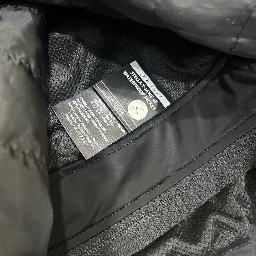 アルパインスターズ　ステラ　レディースS