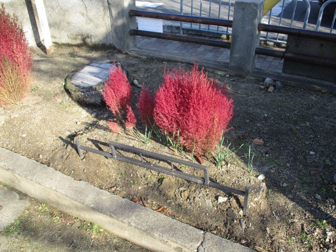 【美品✨】Canon IXY 160 コンデジ CCDセンサー 動作品