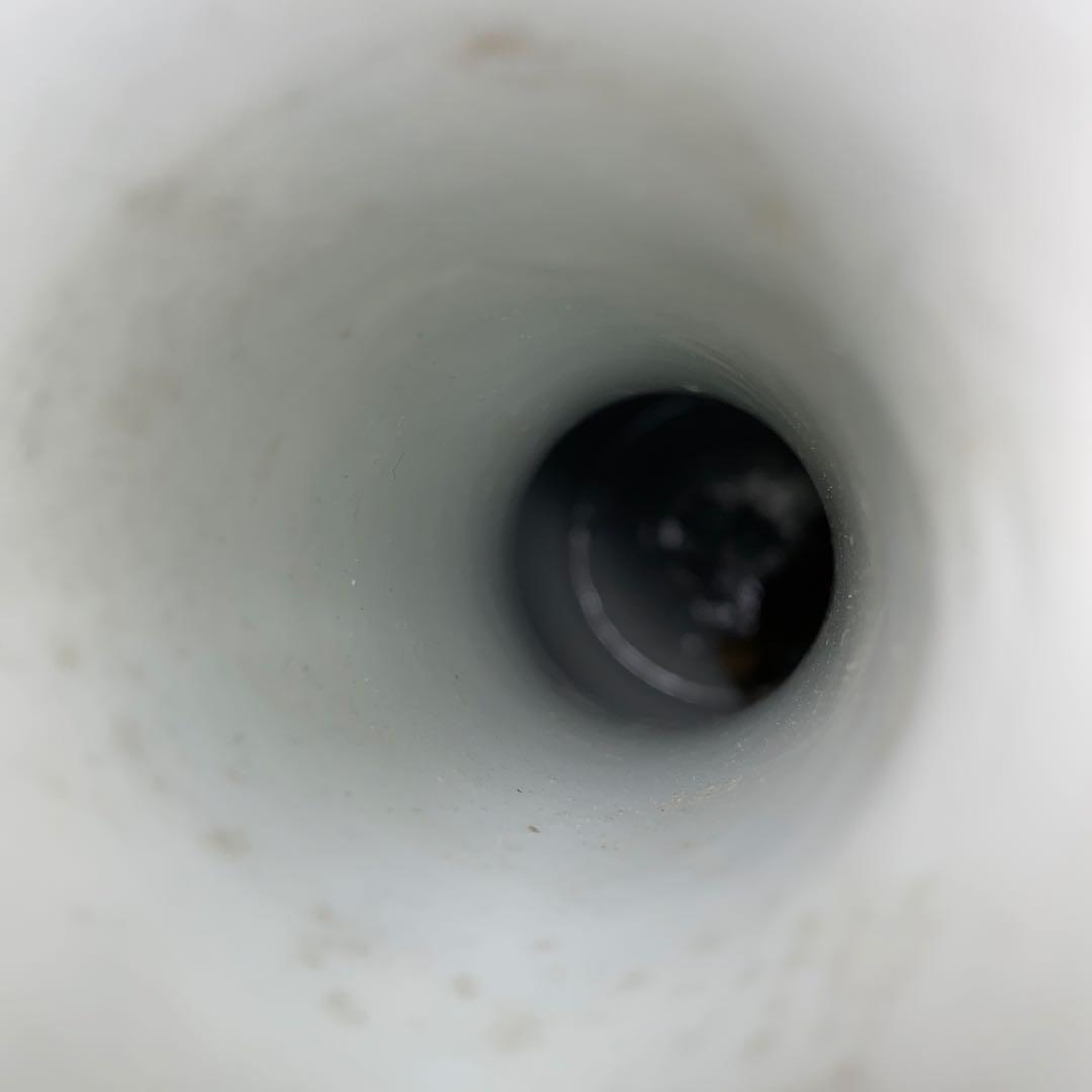 マンボウさん専用大清乾隆年粉彩龍に紫陽花図花瓶高さ37.5㎝　東Y7-0210④