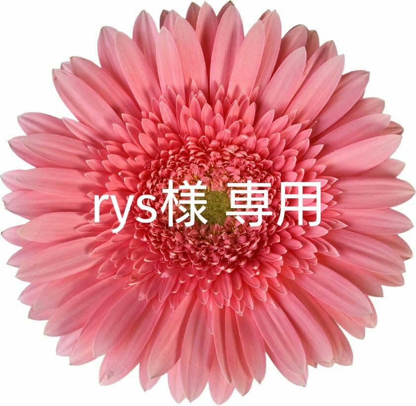 【新品未開封】rys 5本セット