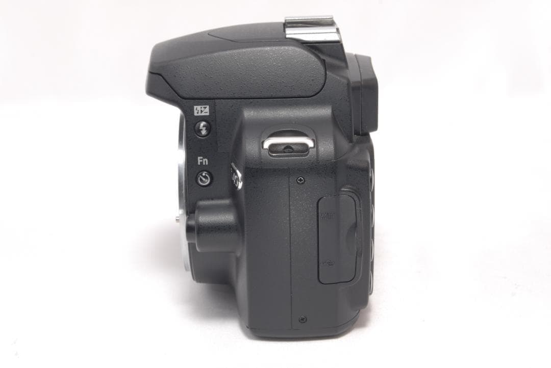 ⭐️軽量＆コンパクト⭐️Nikon D40　デジタル一眼レフ 高画質　ニコン