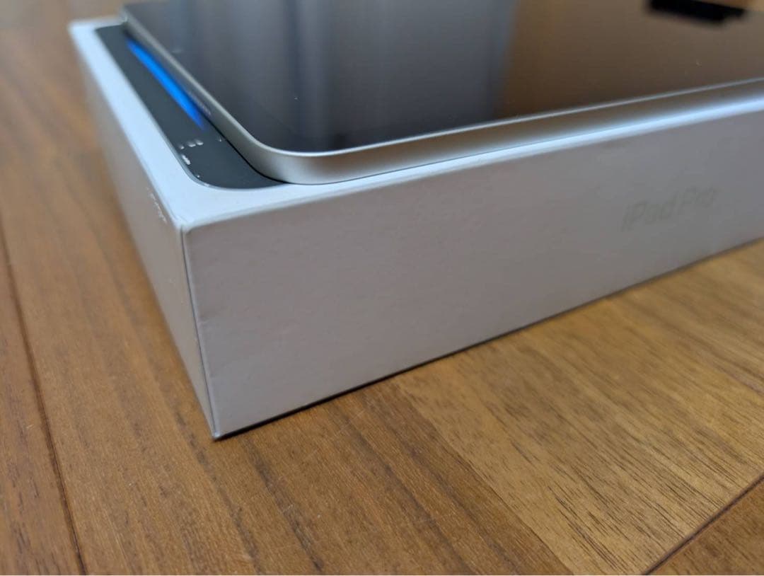 ジャンク品　シルバー　iPad Pro 11インチ　第4世代 箱付き