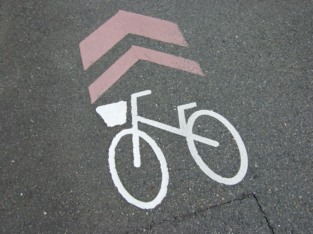 【美品✨】FUJIFILM FinePix F30 コンデジ CCD 作例あり