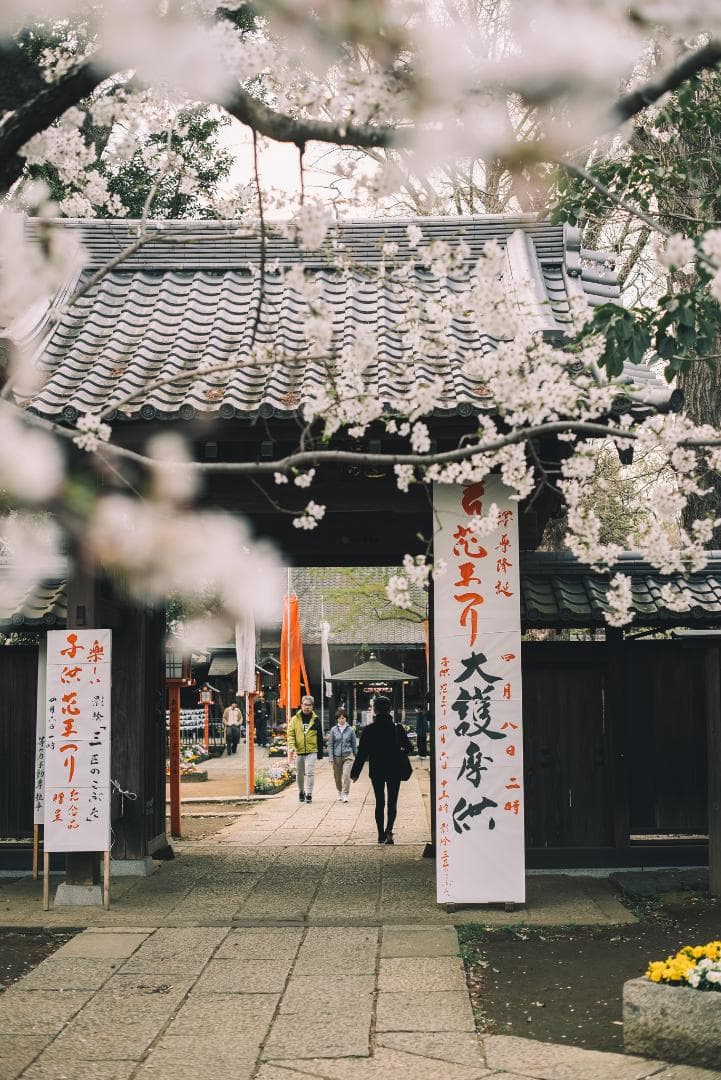 8枚玉！Super-Takumar 50mm f1.4 前期 オールドレンズ