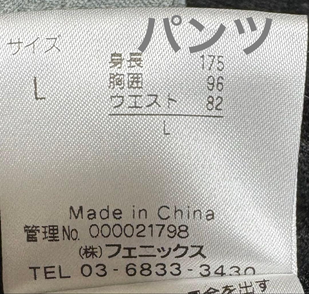 ♦︎美品♦︎フェニックスphenixスキーウェア　スノボウェア　メンズ　L