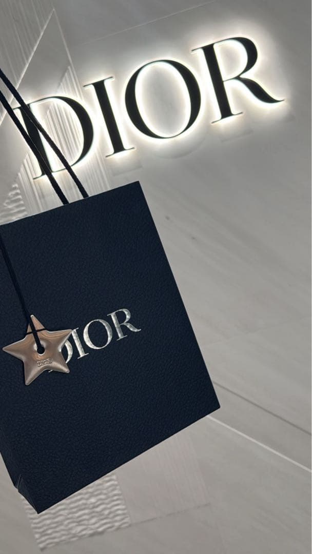 Dior シルバー ピアスセット