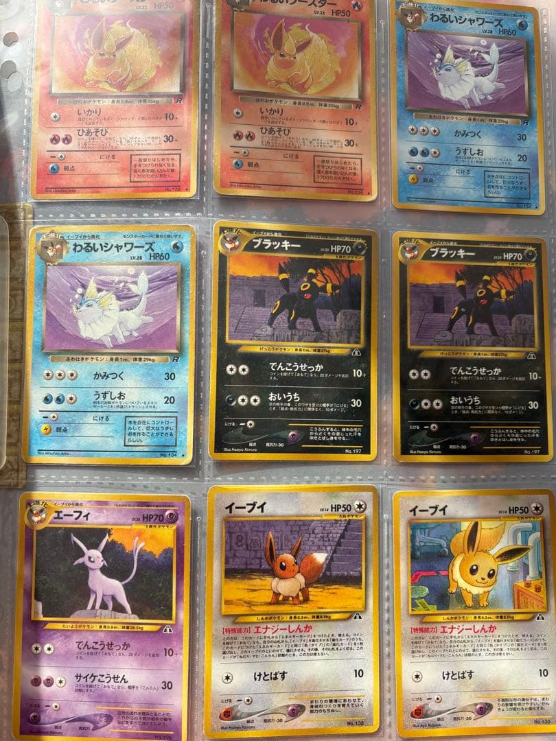 ポケモンカード ネオ neo プレミアムファイル2 遺跡をこえて