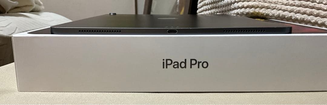 Apple iPad Pro12.9インチ256GB WiFiモデル