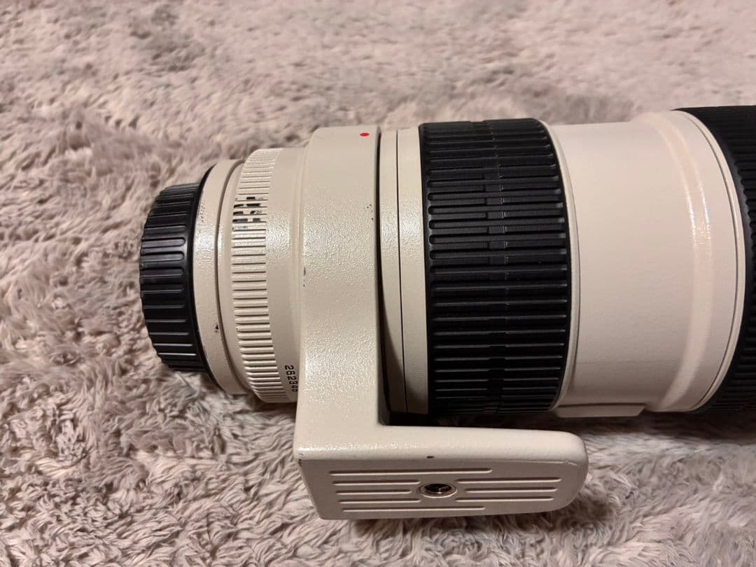 EF70-200mmF2.8L IS USM＋Extender EF 2x II