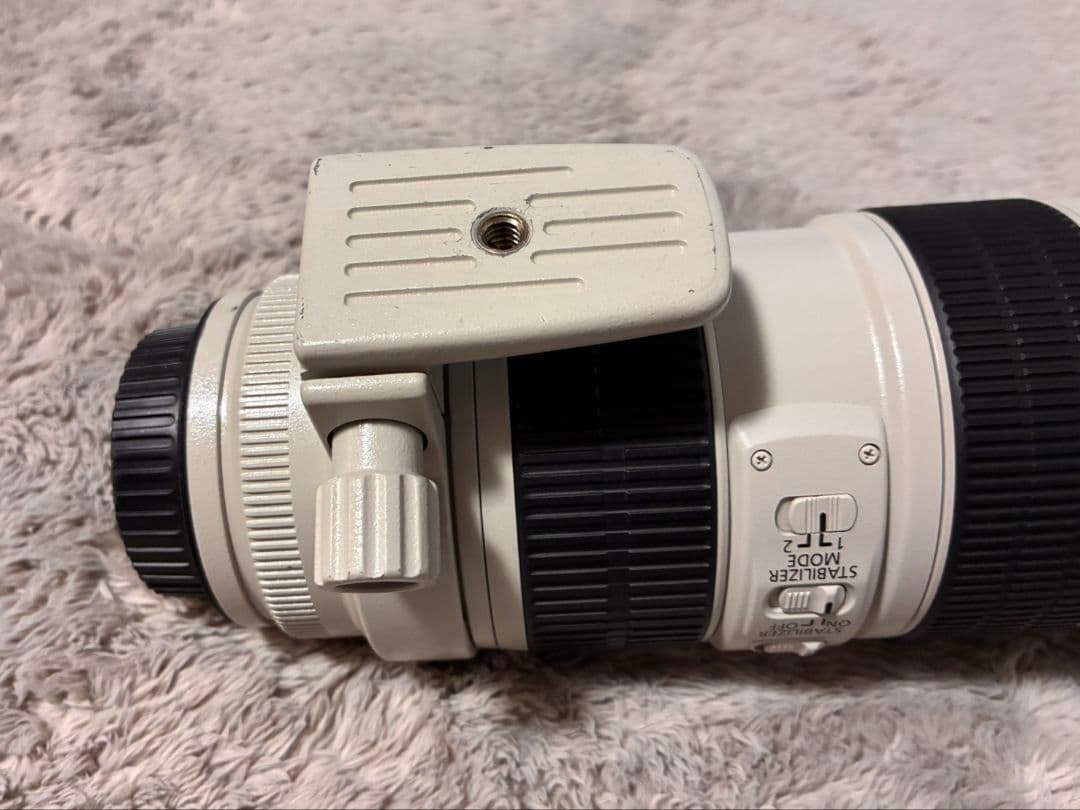 EF70-200mmF2.8L IS USM＋Extender EF 2x II