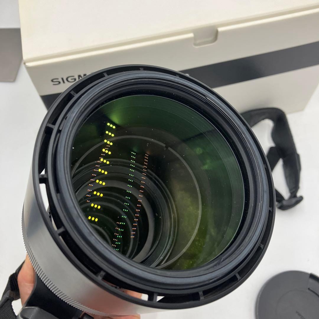 Sigma 150-600mm F5-6.3 望遠レンズ