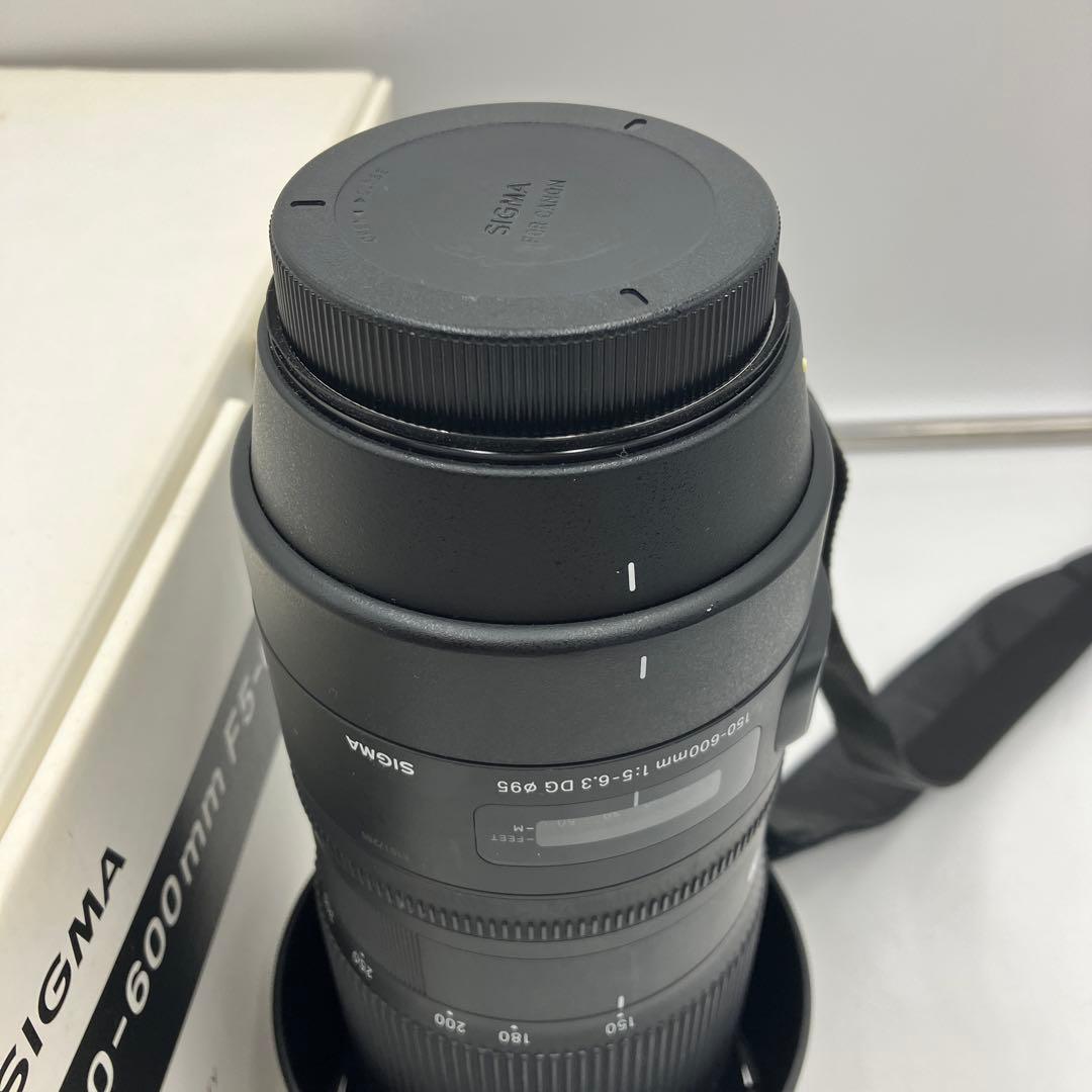 Sigma 150-600mm F5-6.3 望遠レンズ