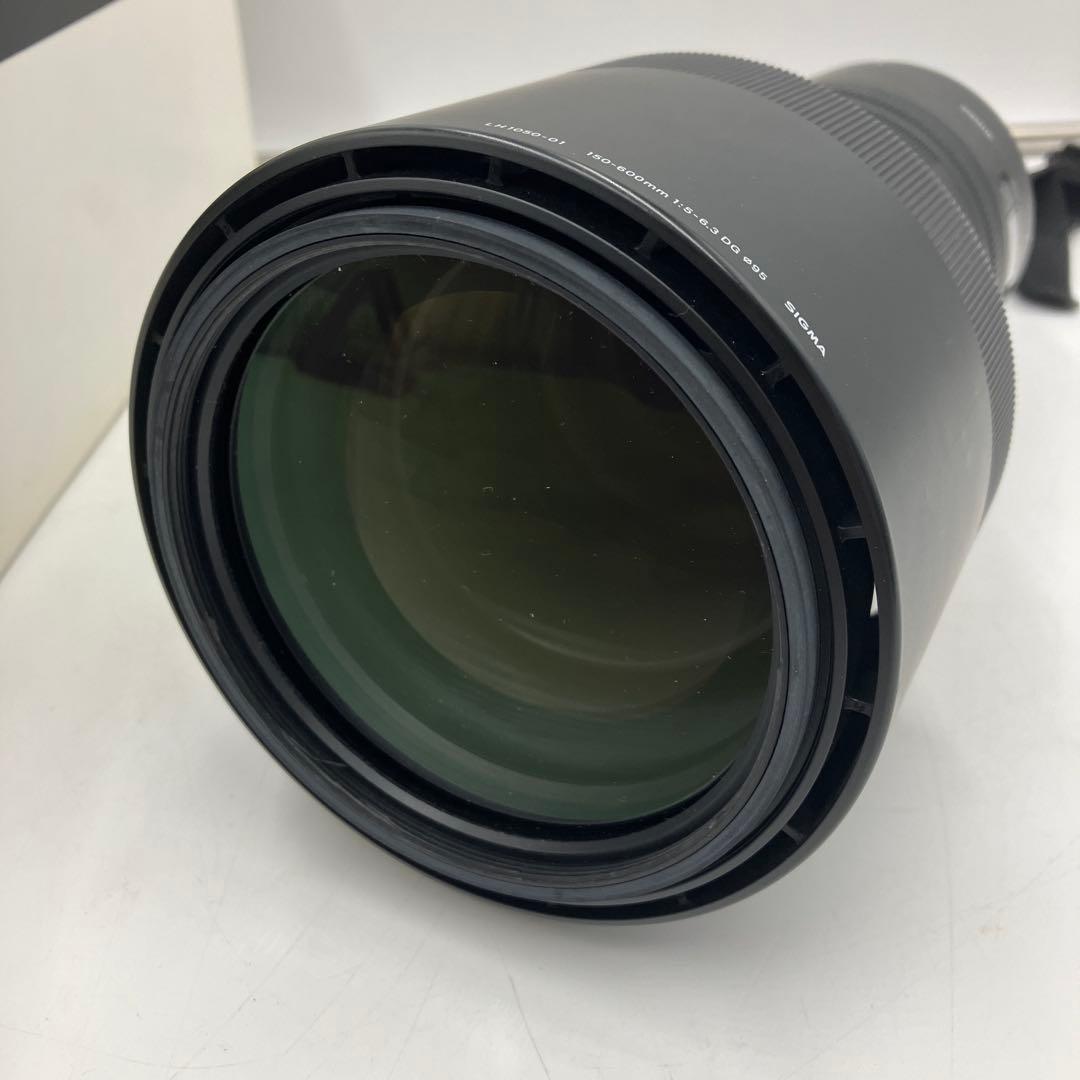 Sigma 150-600mm F5-6.3 望遠レンズ