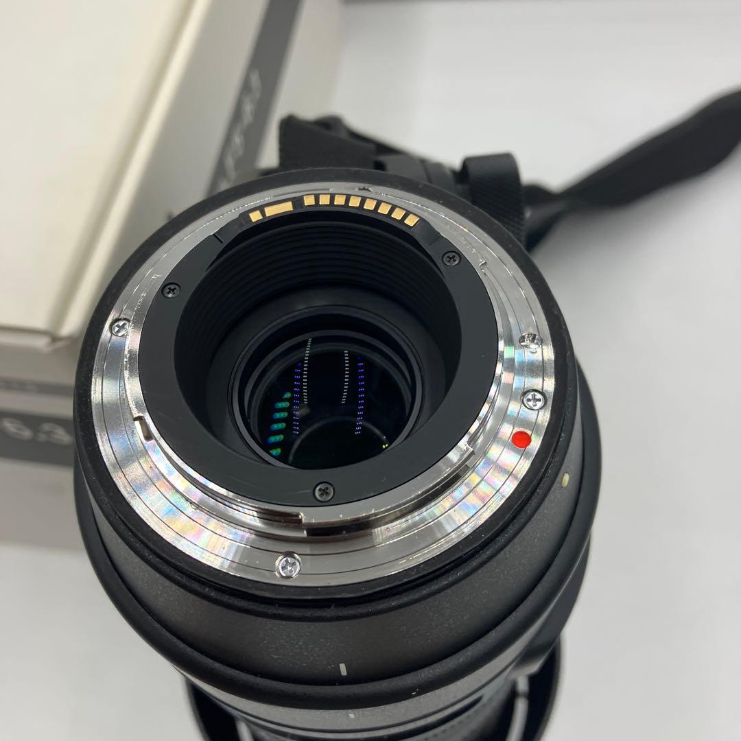 Sigma 150-600mm F5-6.3 望遠レンズ