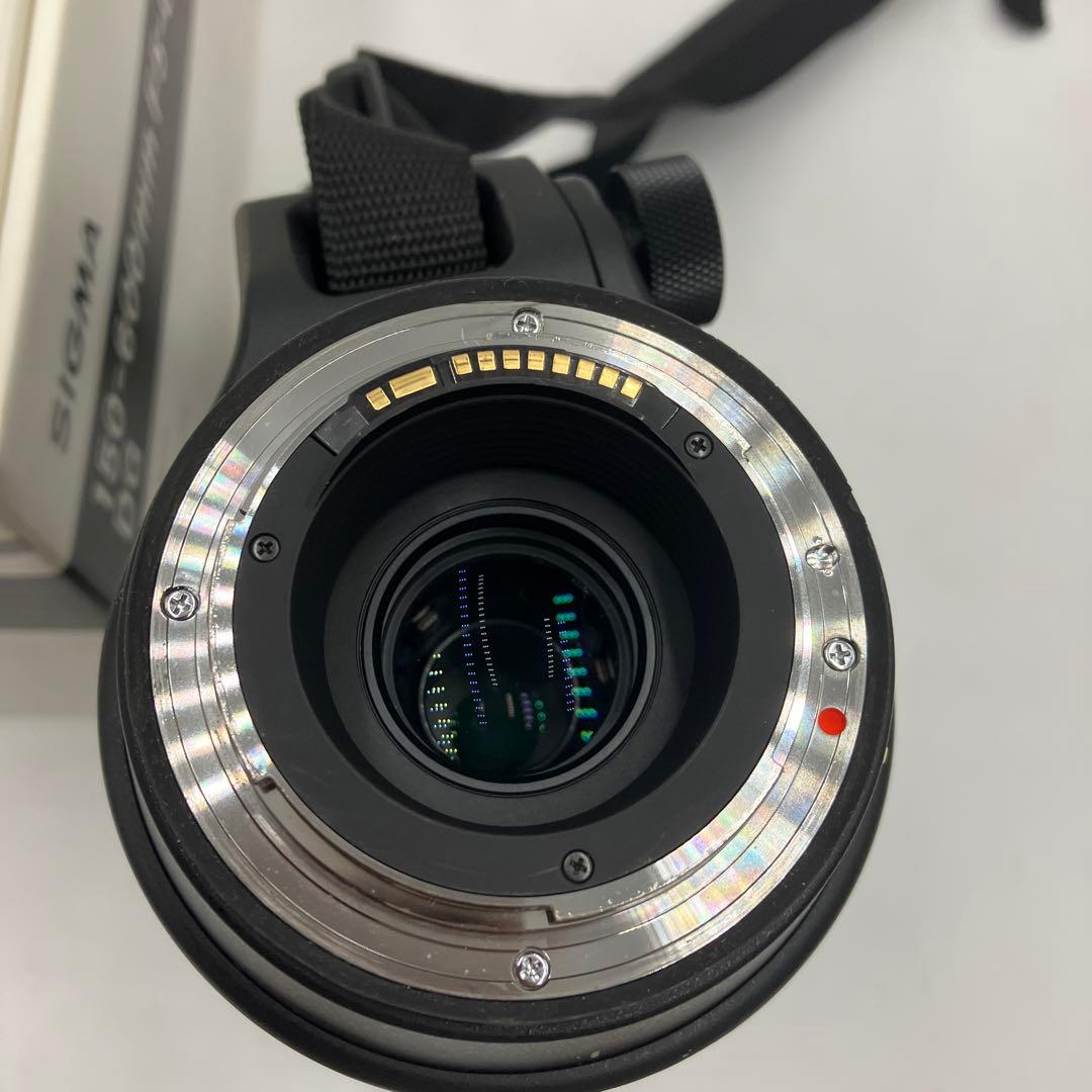 Sigma 150-600mm F5-6.3 望遠レンズ