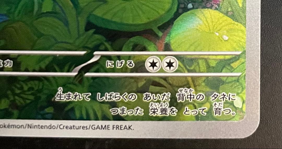 フシギバナex SAR 進化ライン AR3枚セット