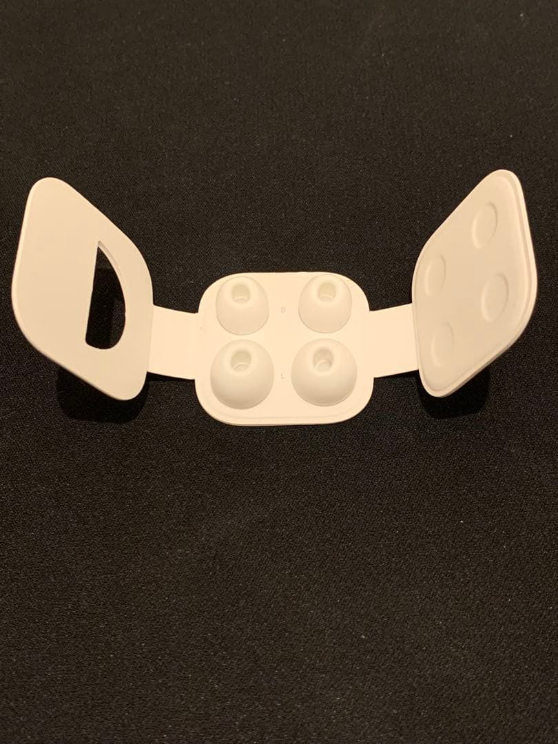 Apple AirPods Pro 箱付き 充電ケーブル付き イヤーチップS、L