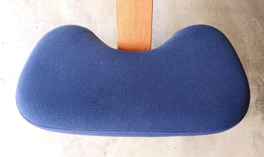 【美品】サカモトハウス バランスチェアイージー　ブルー(ショートフレーム)