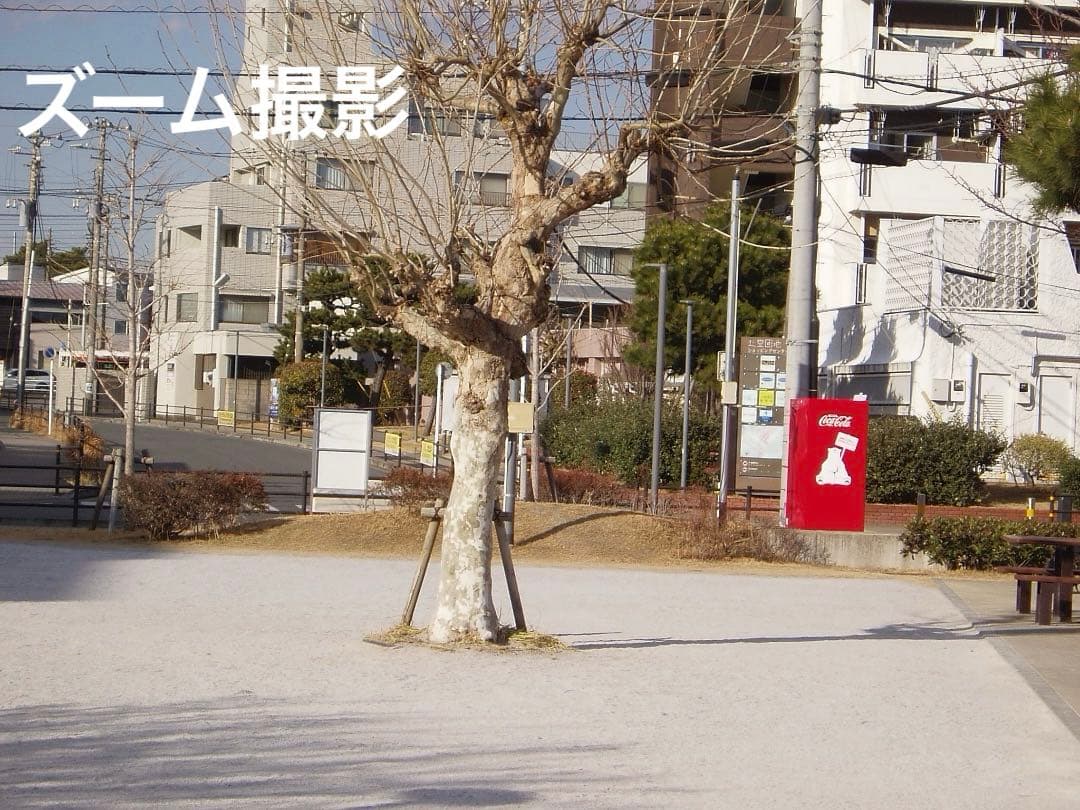 実写美⭕️【動作確認済】OLYMPUS μ-30 DIGITAL デジタルカメラ