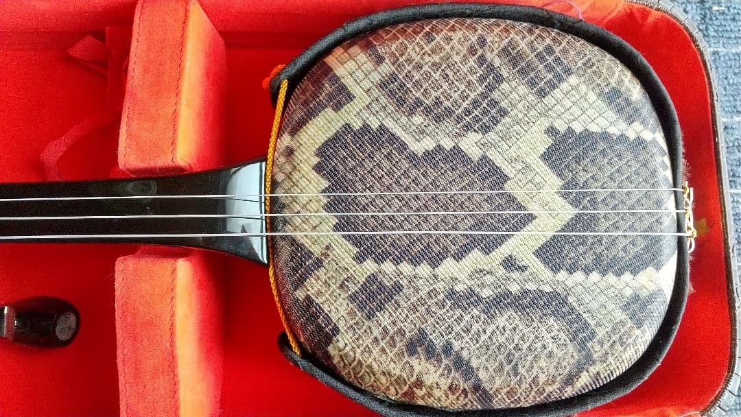 12/21値下げ 沖縄三線 ハードケース 人工皮？ 蛇柄 三味線