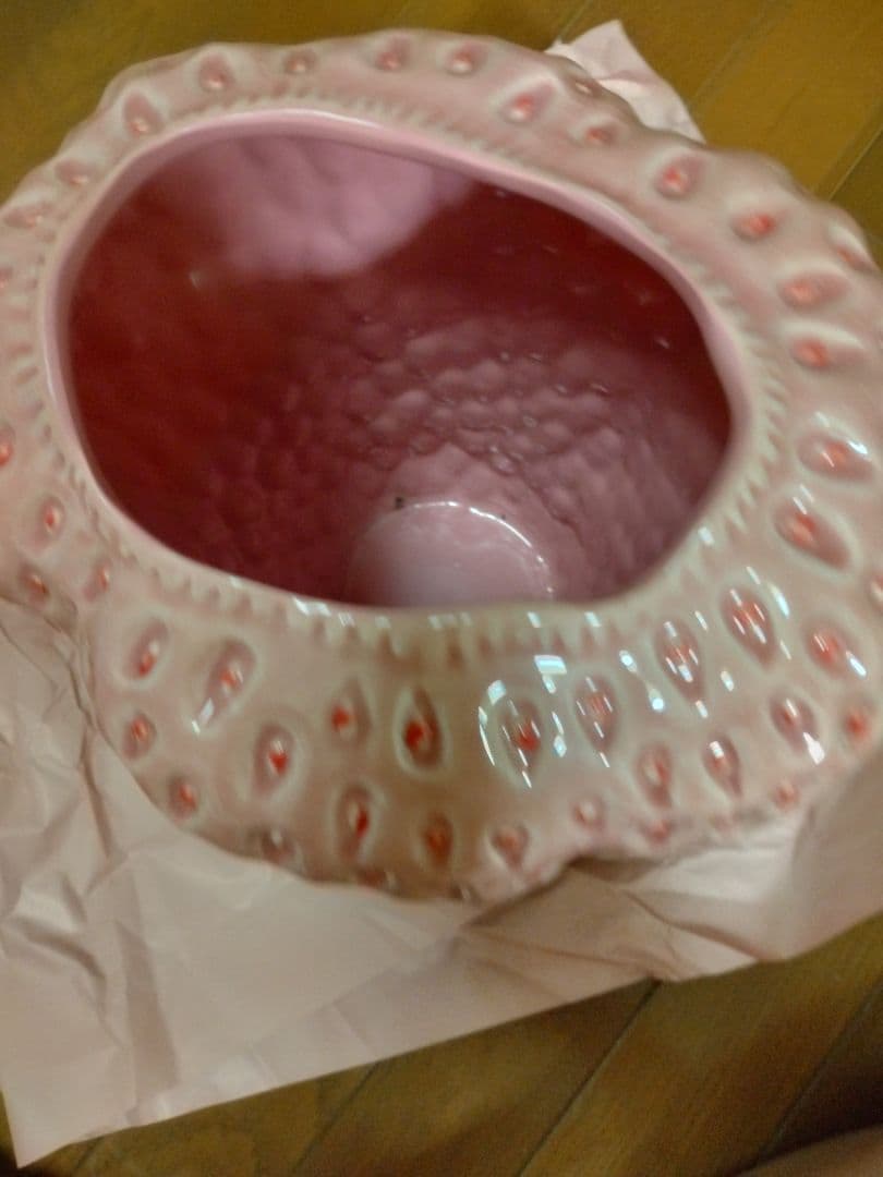 ★再値下★DESPOTS★LLサイズ/デスポッツ Strawberry-vase