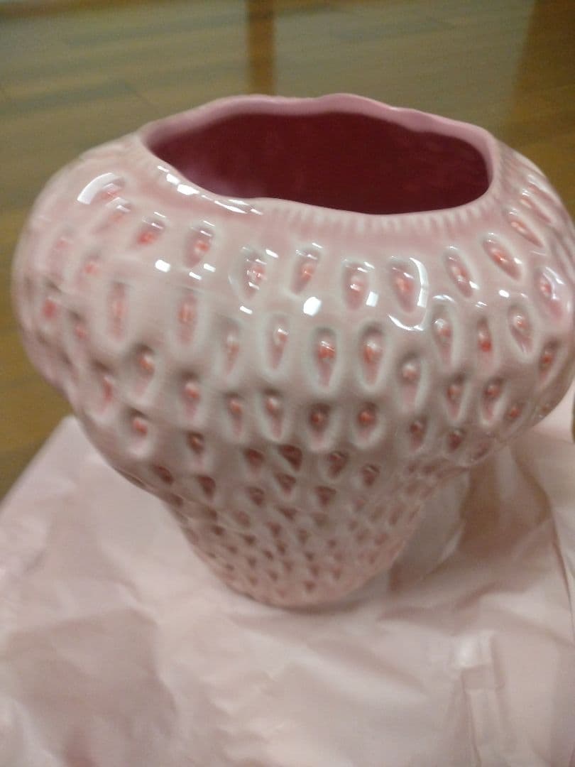 ★再値下★DESPOTS★LLサイズ/デスポッツ Strawberry-vase