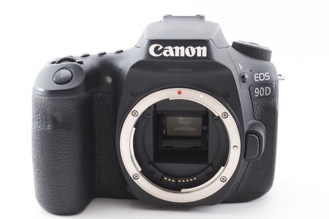 動作品/3250万画素/Canon EOS 90D標準&望遠ダブルレンズセット