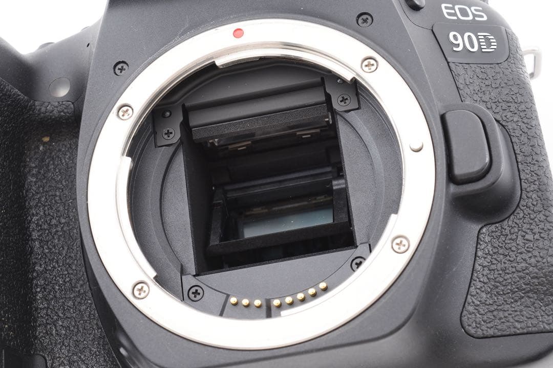 動作品/3250万画素/Canon EOS 90D標準&望遠ダブルレンズセット