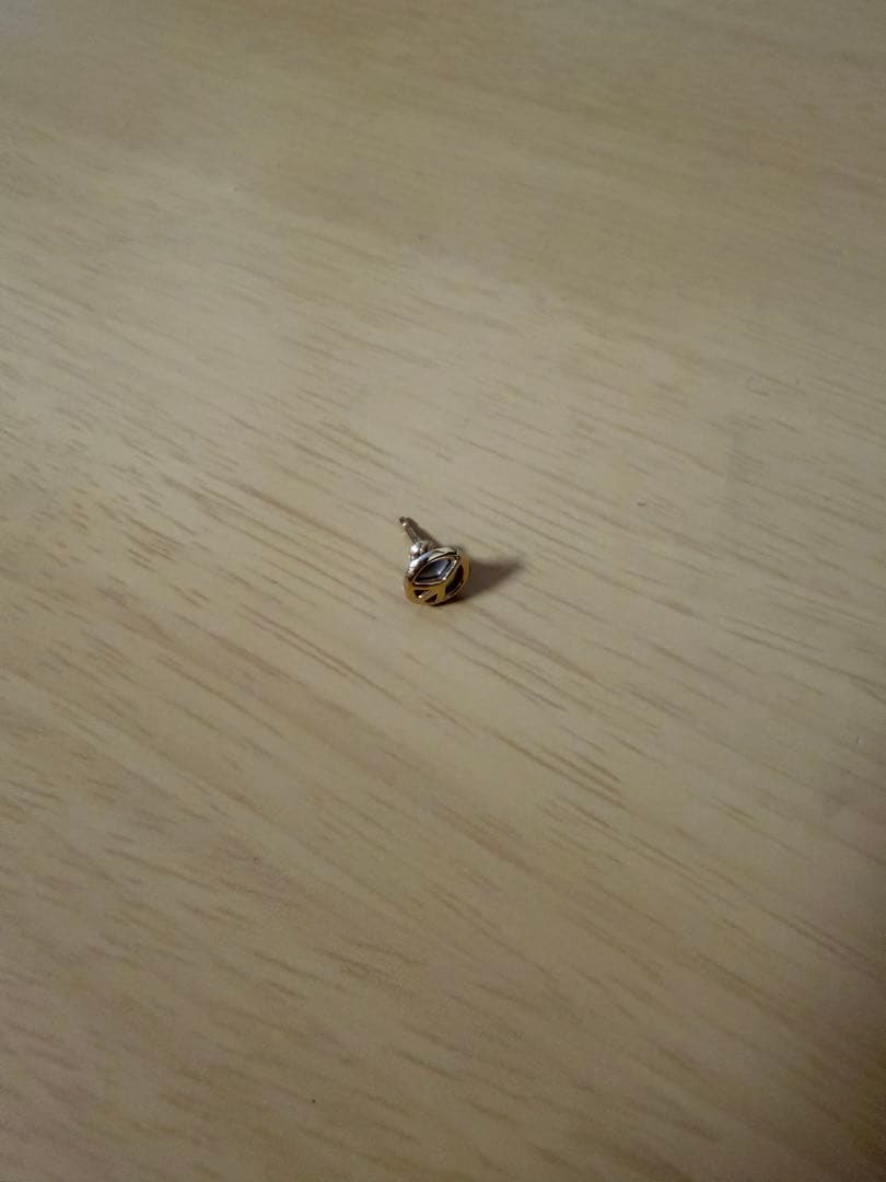 キャリアリングピアス