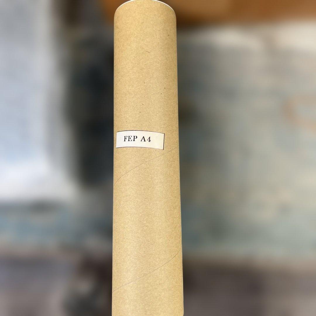 ⭐︎ほぼ未使用/3Dプリンター/phrozen sonic /光造形/フィギュア