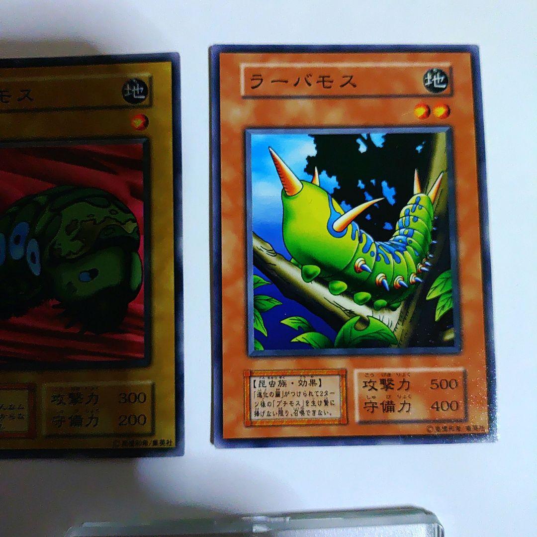 初期の進化の繭セット