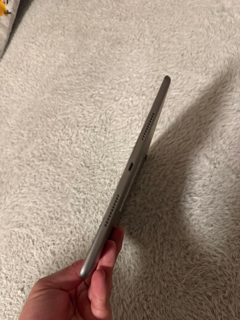 iPad pro 10.5インチ　256GB