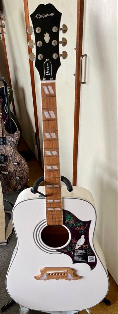 finEpiphone ダヴ　Dove Pro エレアコ希少ホワイトカラー