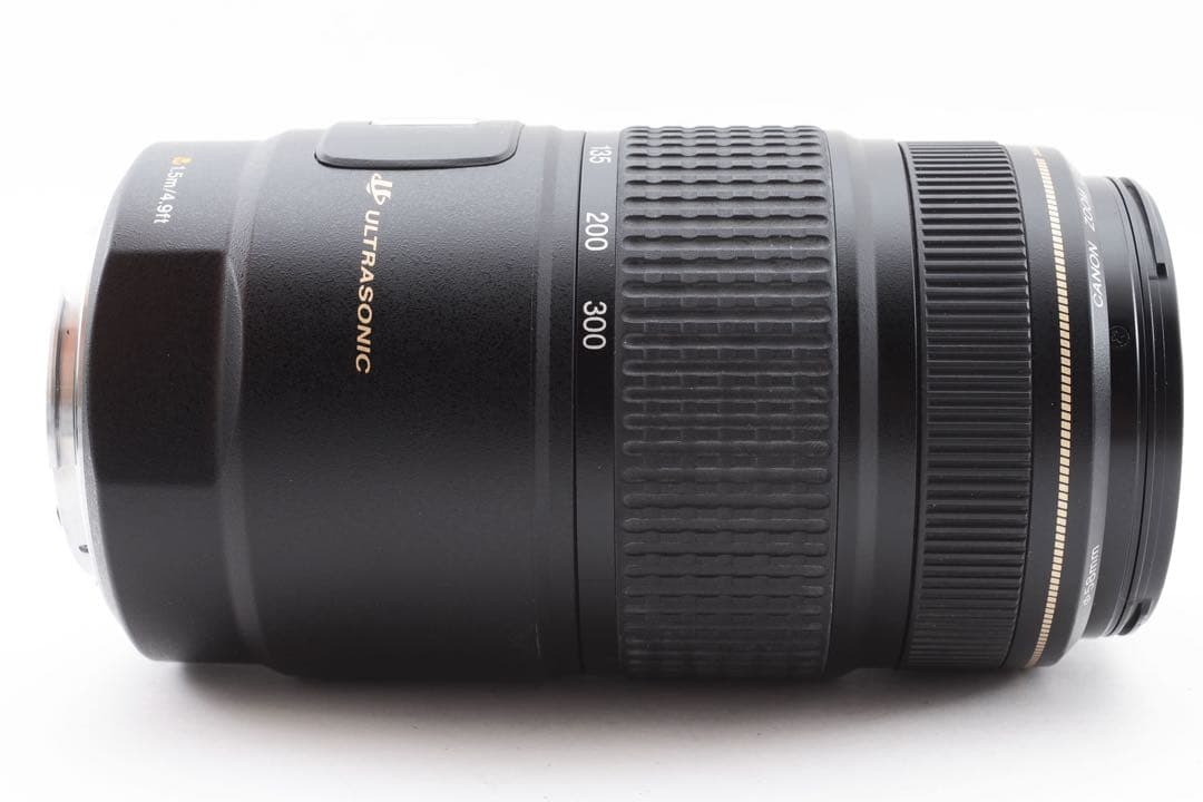 望遠レンズ Canon EF 75-300㎜F4-5.6 IS USM