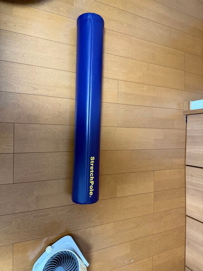 ストレッチポール　EX LPN社正規品