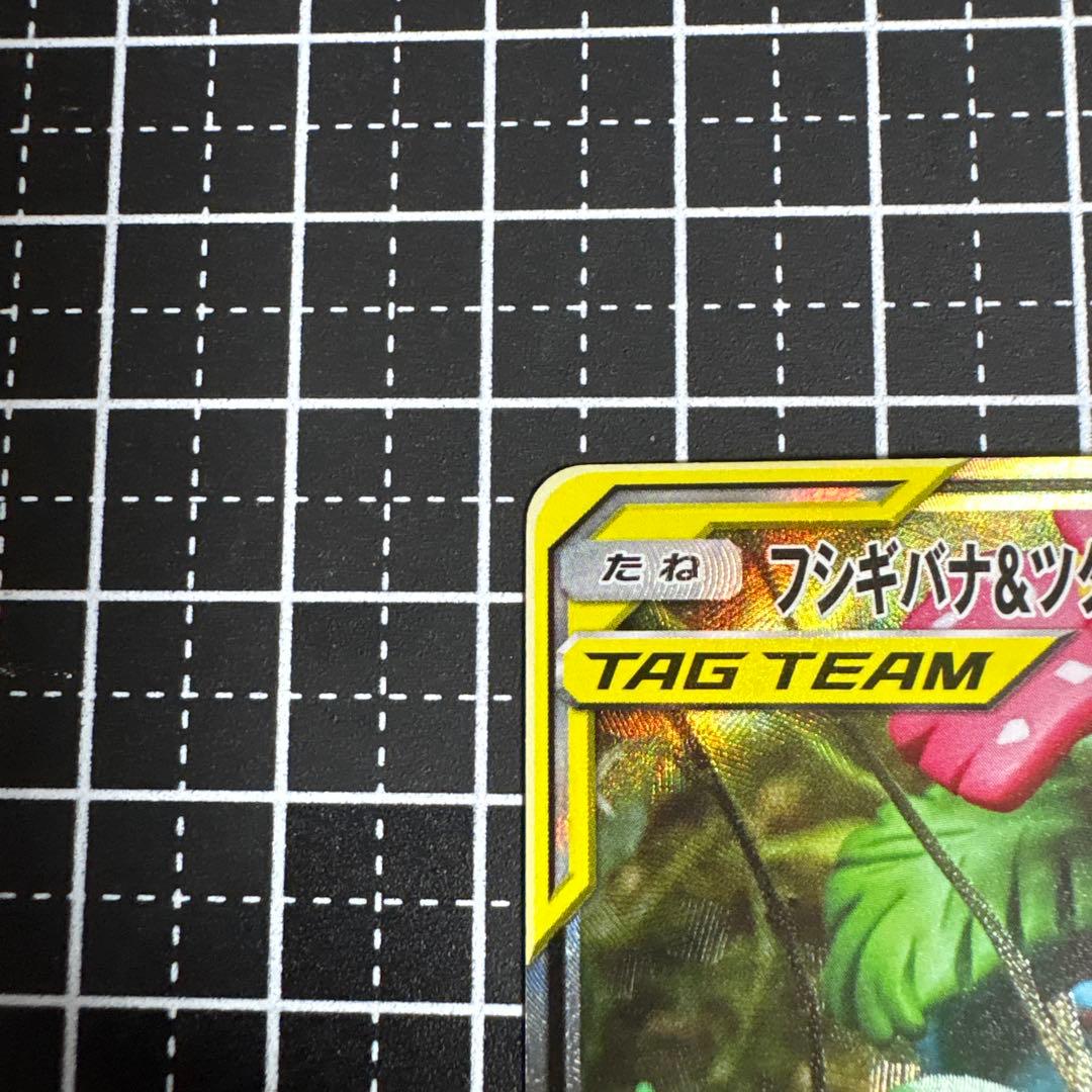 フシギバナ&ツタージャGX