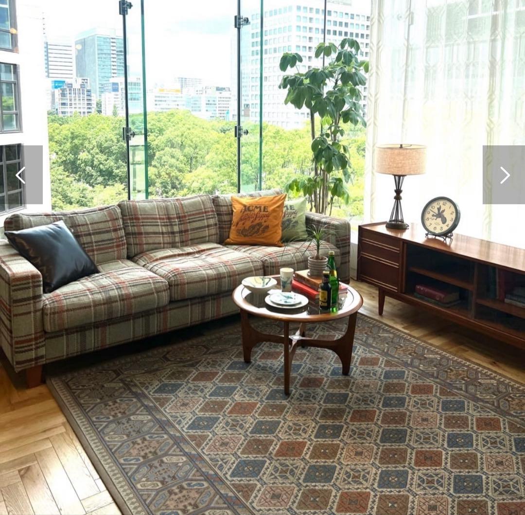 ラグ・カーペット ACME Furniture GLENOAKS RUG 120x160