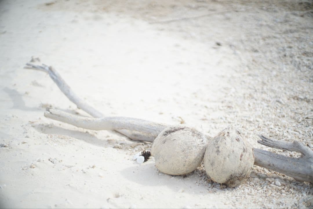 【動作確認済】RICOH XR RIKENON 50mm f1.7 初期保証付き