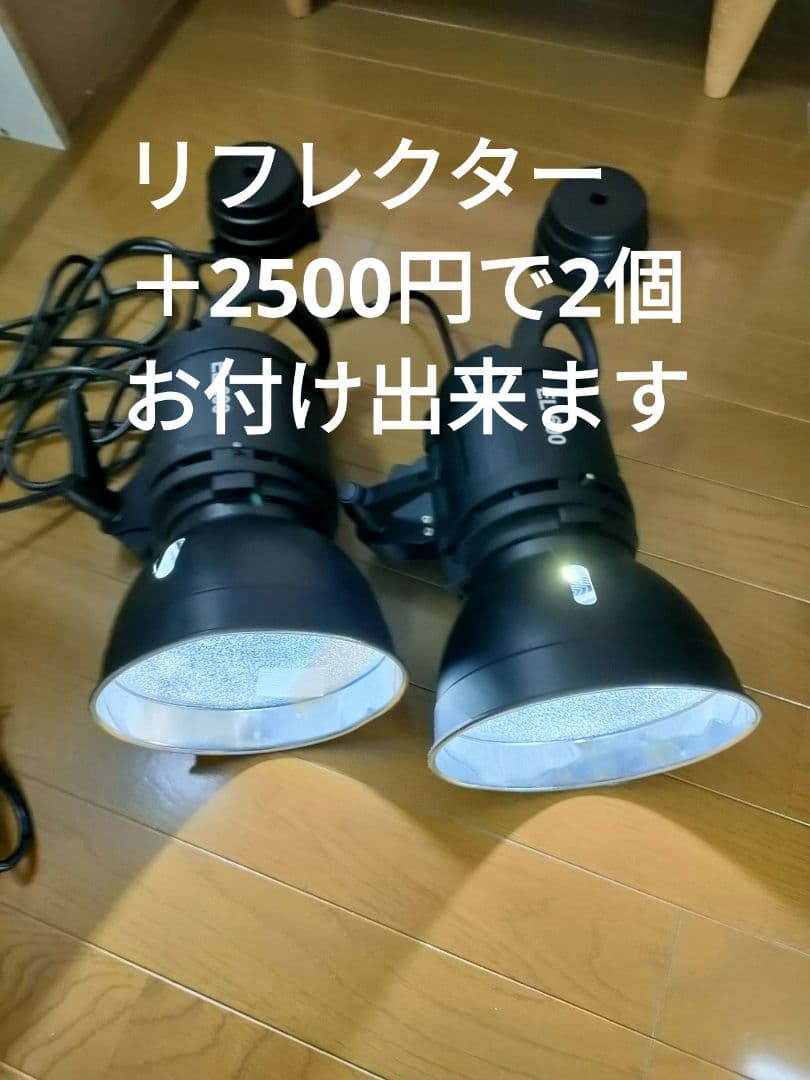 MANDA EL-600 LEDライト2個　自然光　タングステン用フィルター付き