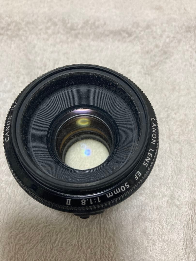 Canon EF-S 55-250mm & EF 50mm レンズセット