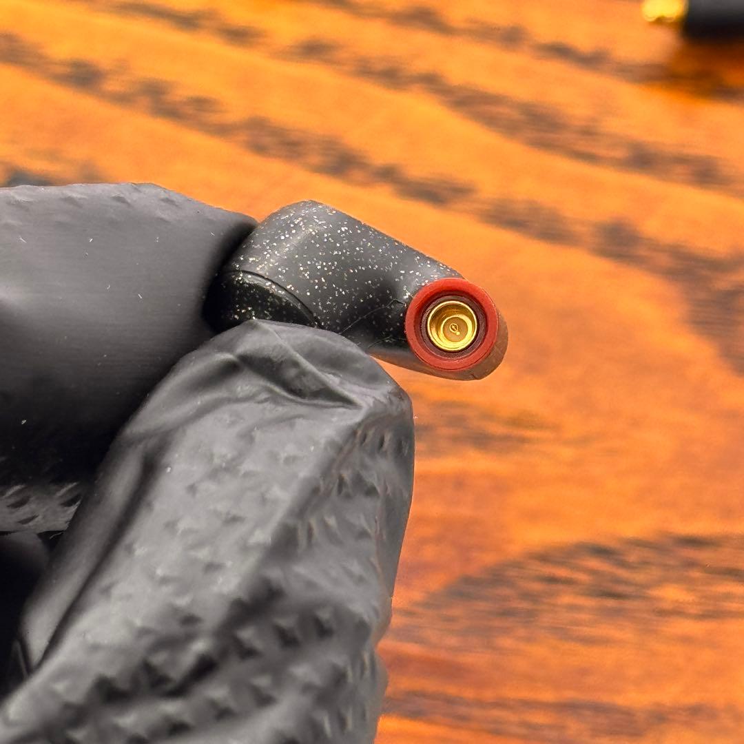 Sennheiser IE 300 有線イヤホン 正規品