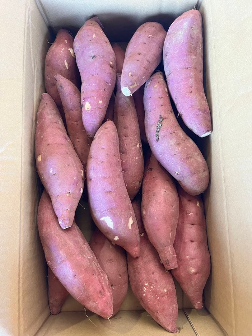 小さな小さな農家さん！大分県産　甘太くんA品Lサイズ　15キロ