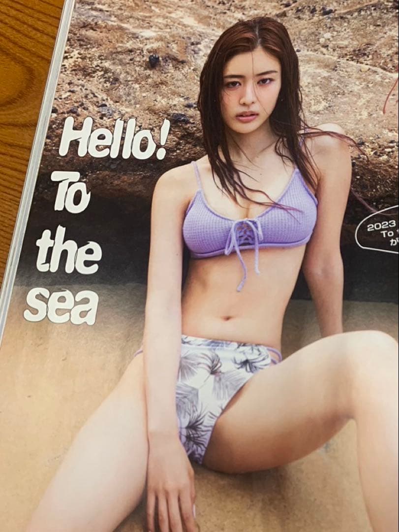 ALEXIA STAM 水着 リバーシブル