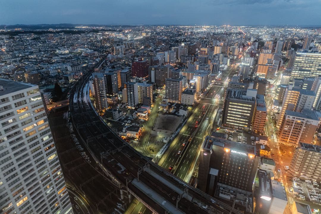 SIGMA Art 20mm F1.4 DG DN レンズ Lマウント