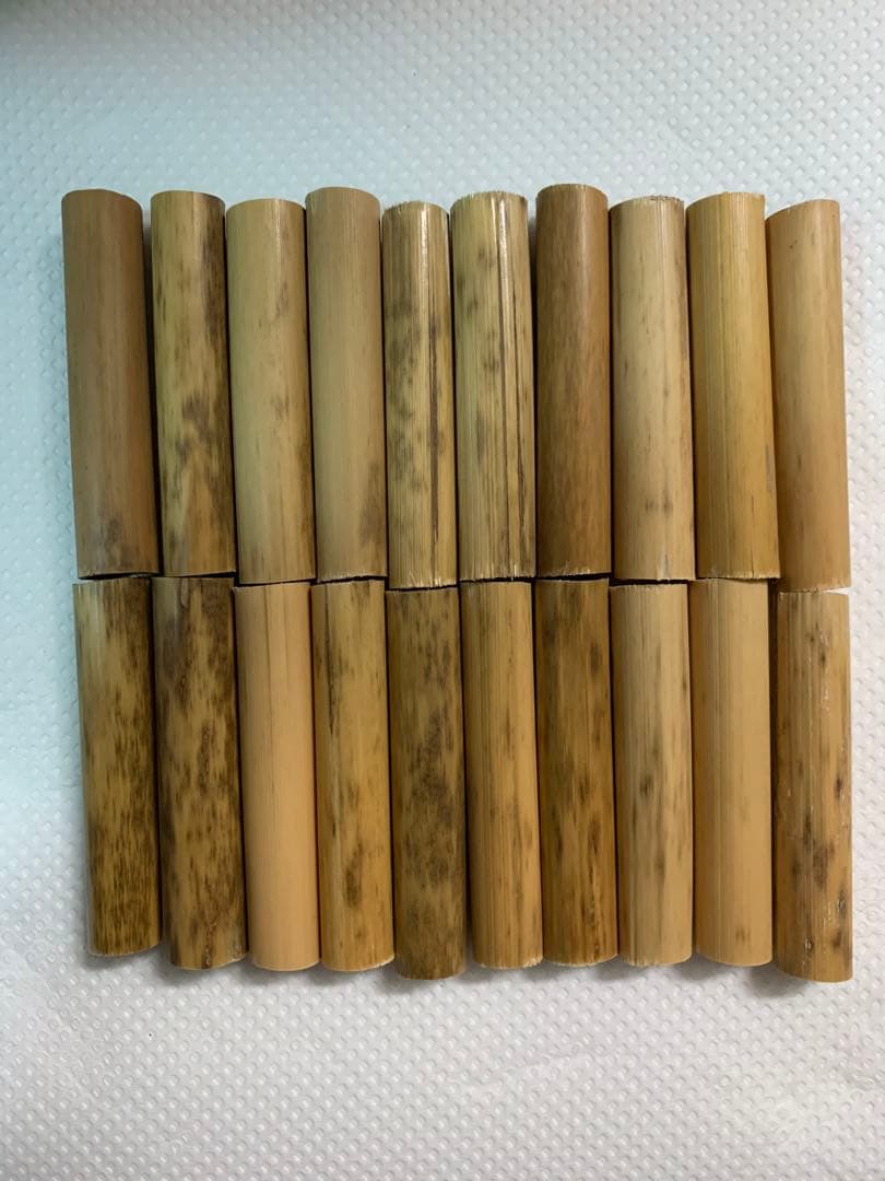 鵜殿産　葦 100本セット