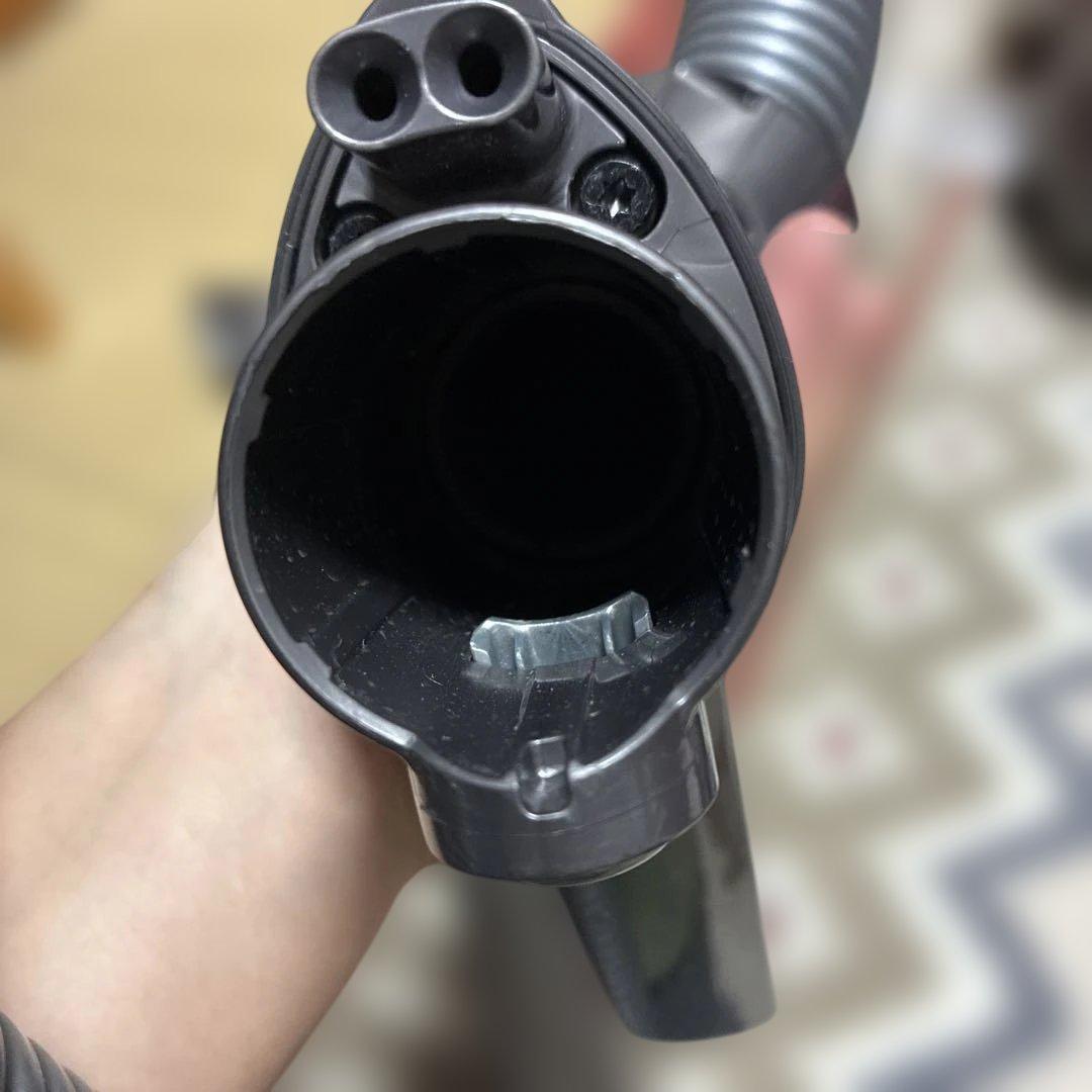 Dyson ball animal+fluffy 掃除機