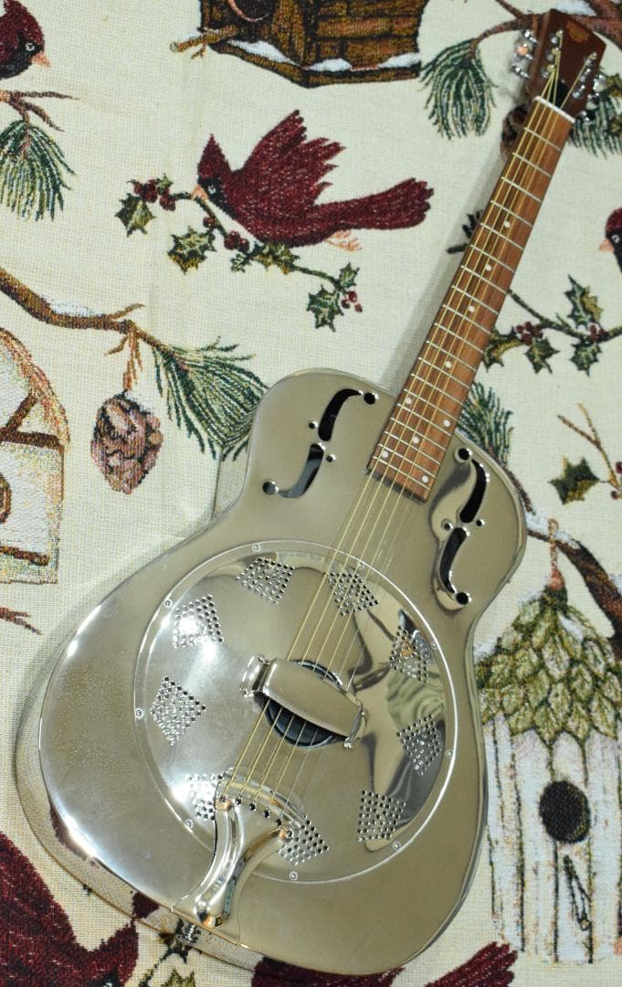 ギター Epiphone Dobro Hound Dog M-14 l Body